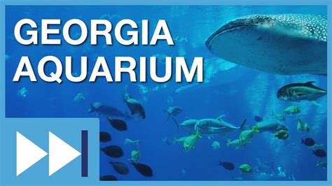 georgia aquarium summer jobs